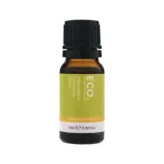 Eco Modern Essentials Essential Oil Citronella 10ml