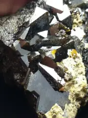 Melanite var andradite Garnet Cluster specimen with nice formation & luster. SB9