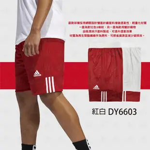 Adidas 籃球褲 藏青白 雙面穿 愛迪達 雙面球褲 團體球褲 男籃球褲 籃球 球褲 DY6602 永璨