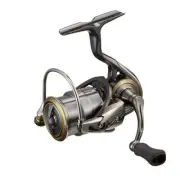 Daiwa 21 Rubias Airity Fc Lt1000S-P_
