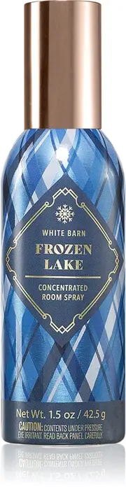 Bath & Body Works Frozen Lake Room Fragrance 42.5 G