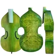Professional Maestro green flames back 6 strings 27" viola da gamba