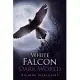 The White Falcon in a Dark World