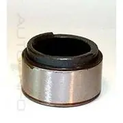 Protex Caliper Piston - 090P0359