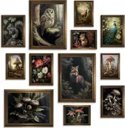 Cottagecore & Dark Academia Set of 12pcs-multiples size,