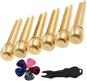 CATIEBYE 1 set String Guitar Bridge Pin Pegs with Picks Removal Tool for Acoustic and Electric Guitars Easy Installation Durable Accessories for Musicians and present Ideas