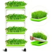 4 Layer Extra Strength Sprout Trays - Soil-Free Wheatgrass Grower