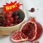 Cherry Pomegranate Fragrance Oil (1 oz) for Candle Making & Soap Making
