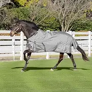 Equinavia Arktis Regular Neck Turnout Sheet - Carbon Gray - 81 in