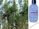 FRESH PINE & FIR NEEDLE - Reed Diffuser Refill