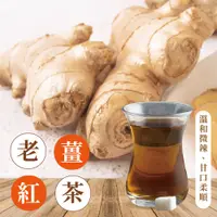 在飛比找蝦皮購物優惠-【愛吃麵】老薑紅茶冷泡茶包 隨身包.原葉三角茶包 (2.5g