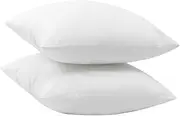 ANDRESLAD Stylish Sofa Pillow Inserts 2pcs Square Pillow Fillers Decorative Pillowcase Inner Soft Fluffy
