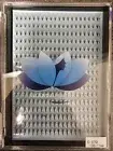 Xl 0.07D Volume Pre-made Pointy Eyelash Extensions. 10D-11mm 16 rows of 20 prema