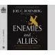 Enemies and Allies: An Unforgettable Journey Inside the Fast-Moving & Immensely Turbulent Modern Middle East