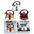 Stove Top Loud Whistling Kettle Stainless Steel Tea Pot Boiling Tea Kettle