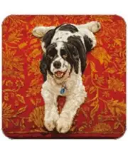 Cork Back Coaster-Dog Design-SPRINGER SPANIEL-Create Your Own Set!