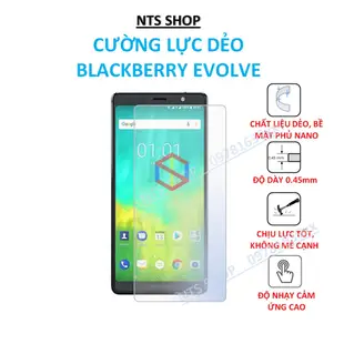 Blackberry Evolve 屏幕保護膜柔韌強度貼紙