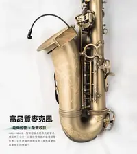 在飛比找Yahoo!奇摩拍賣優惠-【華邑樂器74121-1】 ISOLO CHOICE 薩克斯