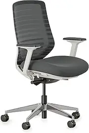[Branch] Ergonomic Chair - A Versatile Desk Chair with Adjustable Lumbar Support, Breathable Mesh Backrest, and Smooth Wheels - Experience Optimal Comfort and Support - Graphite - White