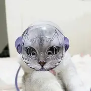 Transparent Cat Muzzles Cat Mouth Guard Helmet Adjustable Hood Breathable Anti Bite Mouth Cover for Grooming Prevent Biting Chewing (M)