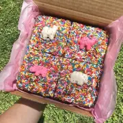 “Party Animal” Brownies, oreo brownies, oreos, circus cookies, made from scratch