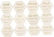 PEPLAYTAL 12pcs Milestone Wooden Circles Baby Milestone Cards Monthly Wood Discs Photo Props for Newborn Baby