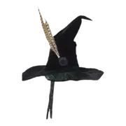 Harry Potter Movie Professor McGonagall Hat Kids/Adult Costume Accessory