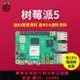 {公司貨 最低價}樹莓派5代 Raspberry Pi 5開發板電腦AI人工智能編程python套件4B