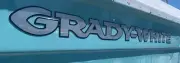 GRADY WHITE SIDE DECALS 3D DOMED RAISED SILVER AND BLACK