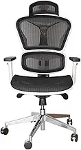 SK Designer Living Replica Ergohuman Ergonomic Japanese Mesh Desk/Office Chair - Black & White