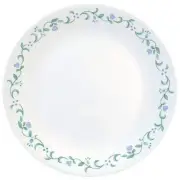 BRAND NEW Set of 4 Corelle COUNTRY COTTAGE 10 1/4" Dinner Plates GREEN BLUE