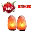 2 Large 10" Pink Himalayan Salt Lamp, Home Decor Air Purifier Negative Ion Light