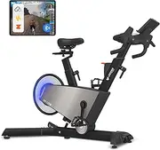 Lifespan Fitness SM810 Commercial Spin Bike