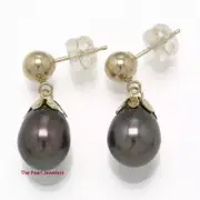 Black Cultured Pearl Dangle Earrings; 14kt Yellow Gold 5mm Ball-Ring & Claws TPJ