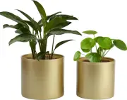 Metal Flower Pots Garden Planters Indoor round Succulent Containers, Pack 2 Cact