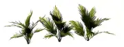TROPICAL JUNGLE PLANTS MODEL SET 1/35 SCALE. TPV-041