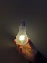 Spirit Light Bulb, new, remotely controlled, magic, seances, Halloween.