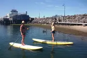 Stand Up Paddle Boarding Private Lesson - St Kilda
