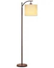 BRIGHTECH Montage Bronze LED Floor Lamp