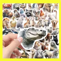 在飛比找蝦皮購物優惠-❤熱賣 100張寫實風動物肖像畫貼紙個性DIY手機殼筆記本手