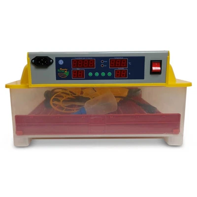 Electric 60 Egg Incubator Turner Drinker Feeder Candler Chicken Turkey Quail ...