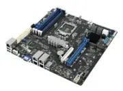 ASUS P11C-M/4L - Intel - LGA 1151 - Intel Celeron (90SB06R0-M0UAY0)