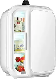 Mini Refrigerator, Portable Small Refrigerator Skin Care Beauty Refrigerator with LED Mirror Personal Thermoelectric Cooler/Warmer with 12V DC 110~220V AC