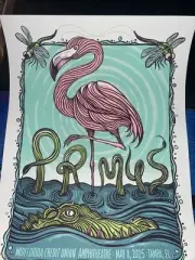 Primus Tampa Sessanta Doug Boehm
