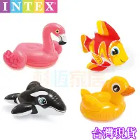 在飛比找蝦皮購物優惠-INTEX 充氣球 原廠正品 58590 動物造型