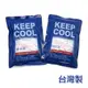 「CP好物」 保冷劑 (2入) 冰敷袋 冰敷墊 保冷袋 保鮮劑 保冰磚 藥品 母乳保冷劑 - 台灣製