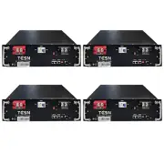 4PCS 5120Wh 51.2V 100Ah LiFePO4 Battery Module Prismatic Cells Energy Storage