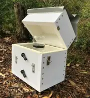 Stingless Native Beehive Side Entry OATH Bee Hive Perspex Viewing Honey Jar