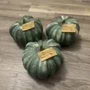 Robert Stanley Signature Collection “Joyful Collection” Green/White Pumpkin Lot