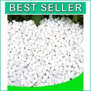 Natural White Gravel Rocks - 18 lb Decorative Pebbles for Garden and Home Decor